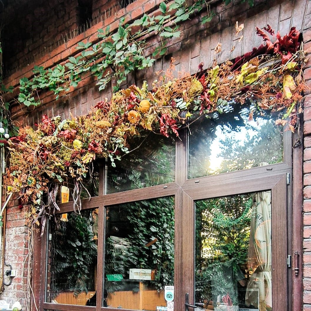 Structură florală Rădăcini